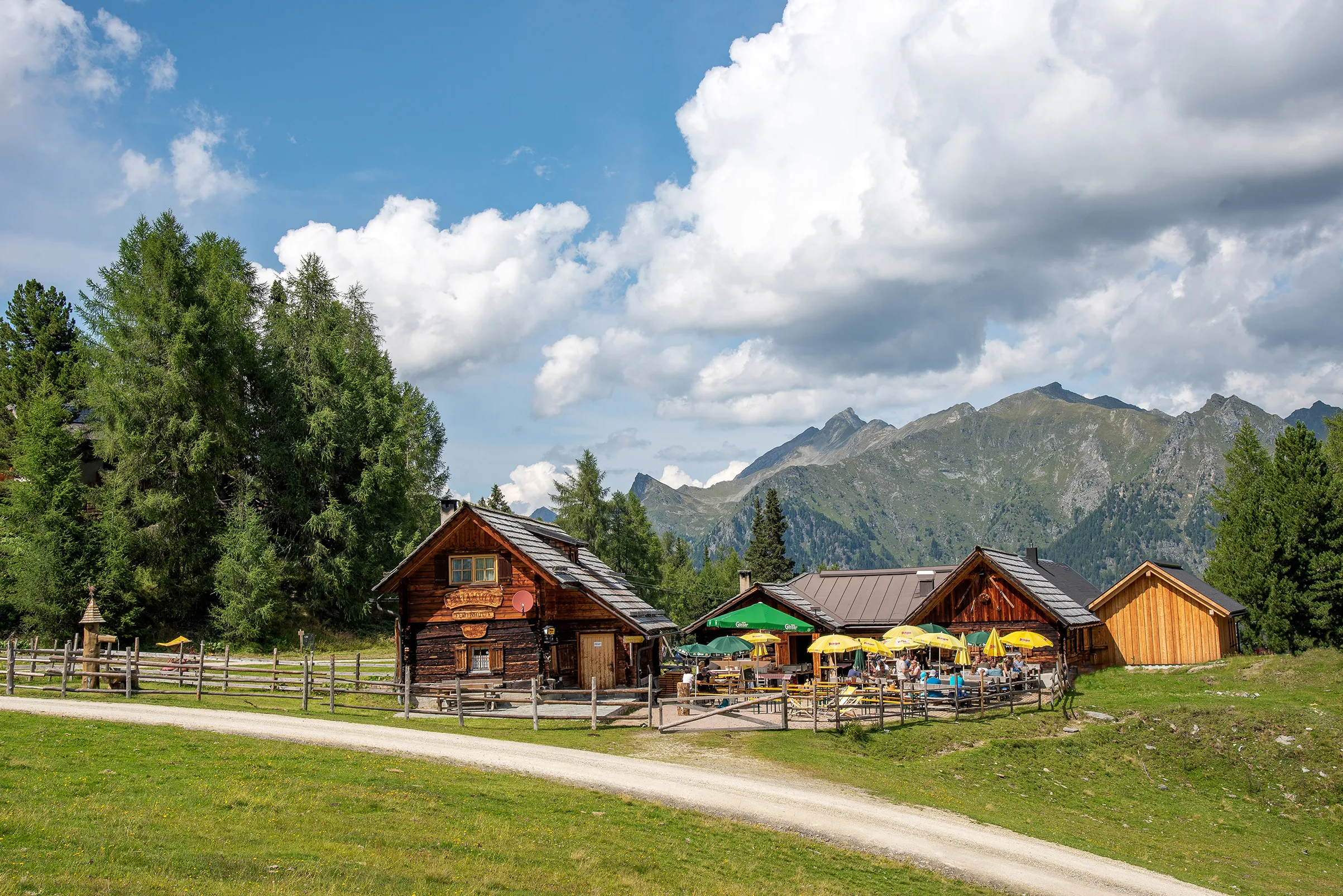 Zirmbar am Fanningberg